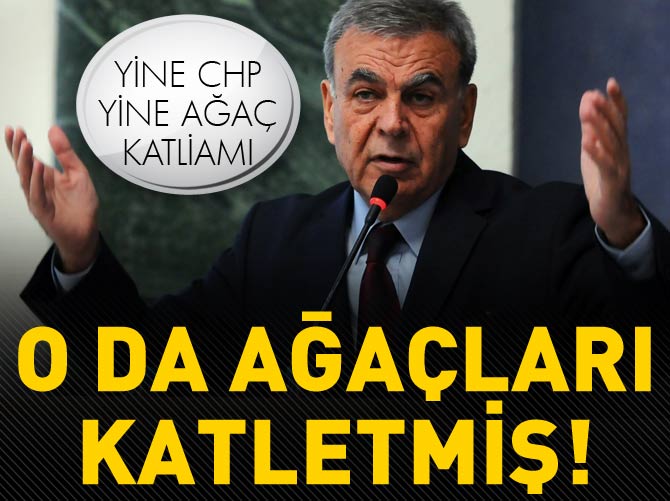 Aziz Kocaoğlu sessiz sedasız ağaçları katletti