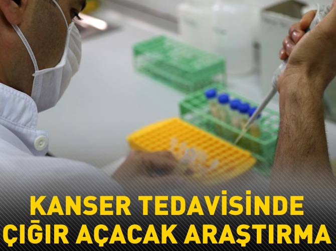 Pankreas kanserinin tedavisinde çığır açacak gelişme