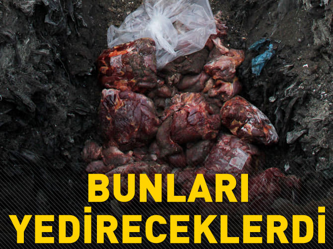 Adana'da 1 ton kaçak bozuk et imha edildi
