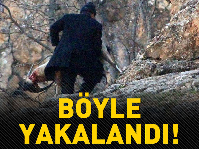 Avlanması yasak dağ keçisinin derisini yüzerken yakalandılar