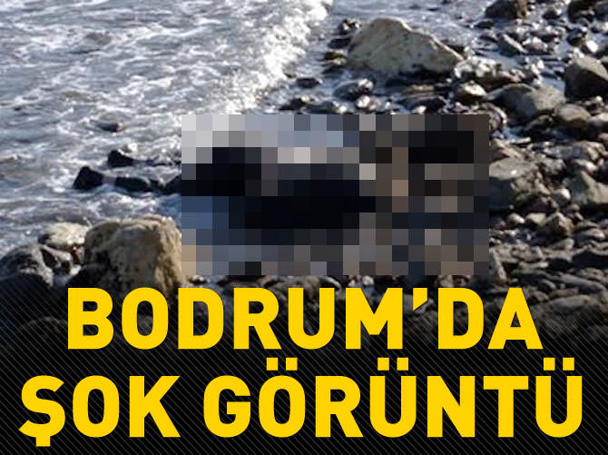 Uluslararası sularda 2 kesik baş bulundu