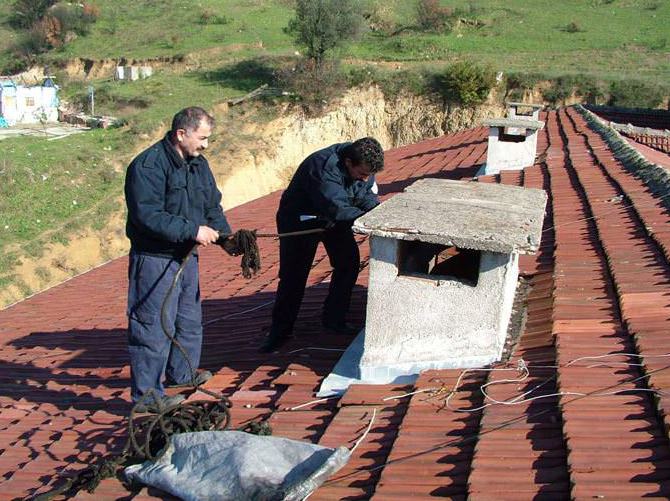 Bacada feci ölüm!