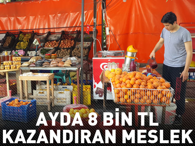 Ayda 8 bin lira kazandıran vitaminli iş
