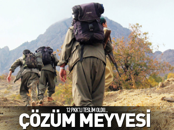 12 PKK'lı teslim oldu!