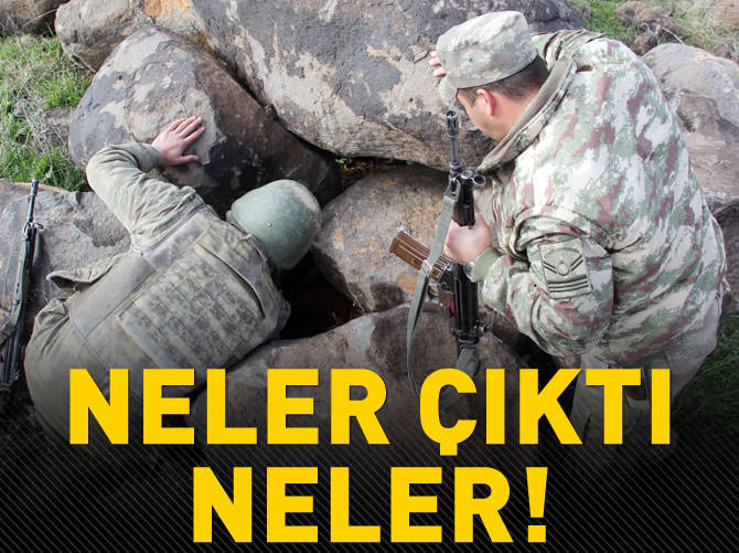 Şanlıurfa'da silah operasyonu