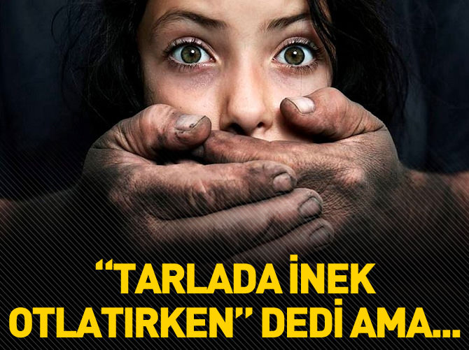 "Tarlada inek otlatırken" dedi ama...