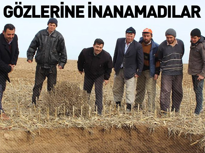 Tarlada korkutan görüntü