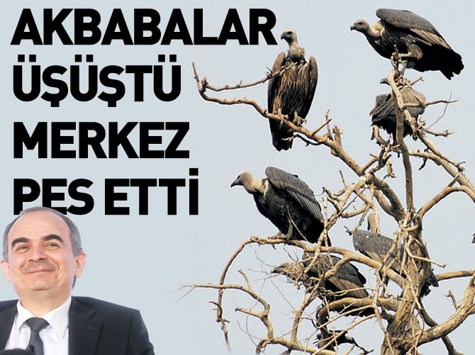 Akbabalar üşüştü Merkez pes etti