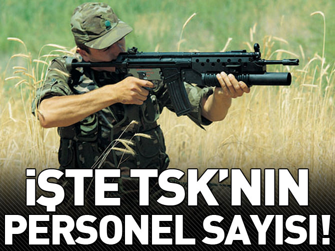 İşte TSK'nın personel sayısı