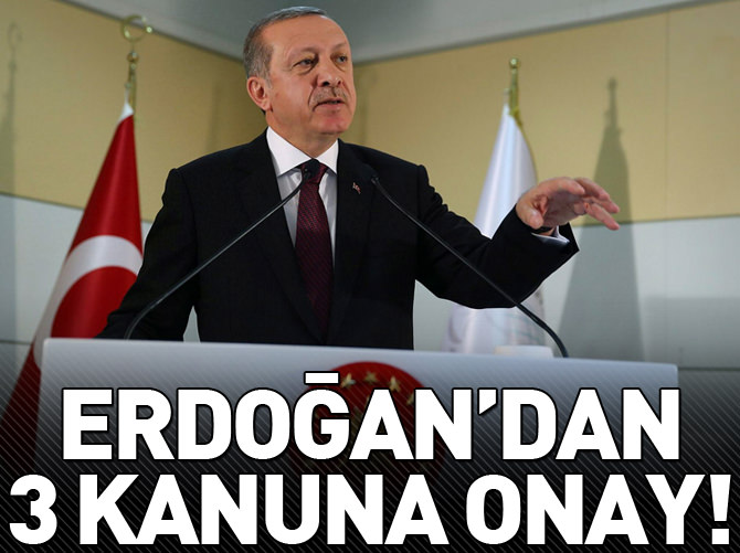 Erdoğan'dan 3 kanuna onay!