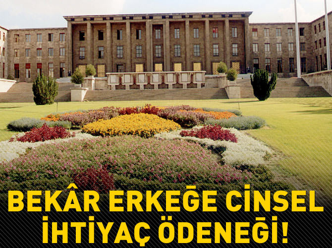 "Bekâr erkeğe cinsel ihtiyaç ödeneği verilsin"