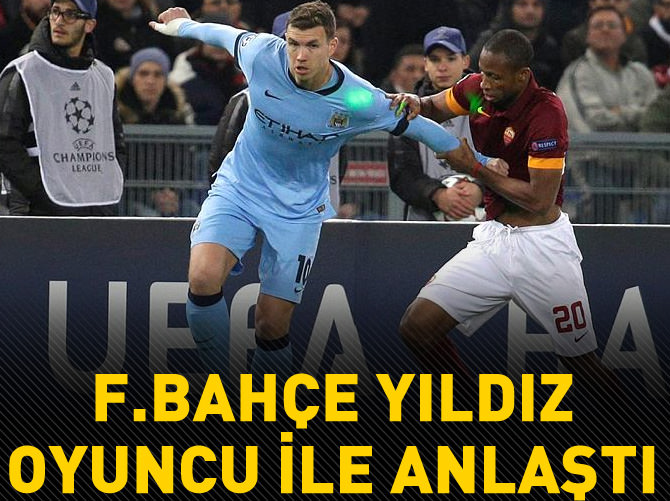 Edin Dzeko sezon sonu Fenerbahçe'de