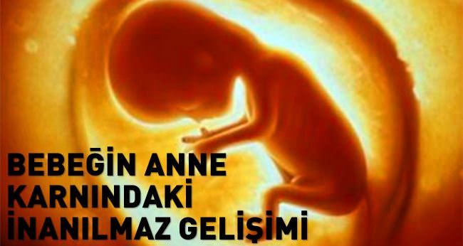 İngiltere’de üç ebeveynli bebek yolda