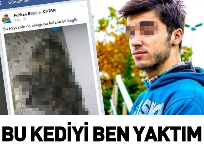 'Bu kediyi ben yaktım' dedi, polis peşine düştü