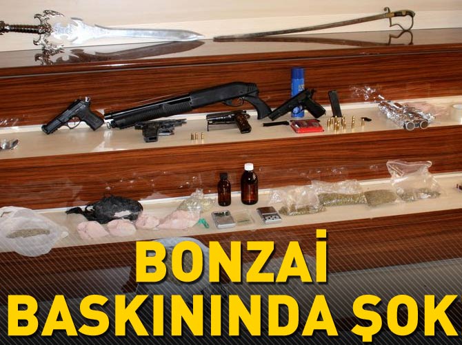 Bonzai baskınında şok!
