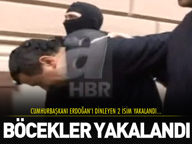 İşte o paralel böcekler!