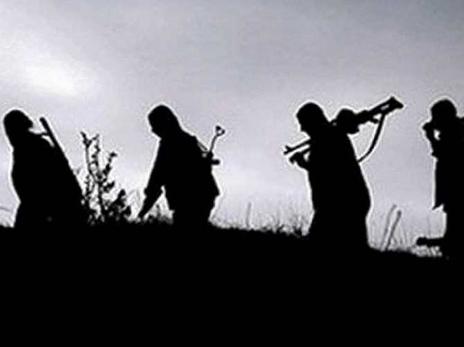 Şırnak'ta 7 PKK'lı teslim oldu