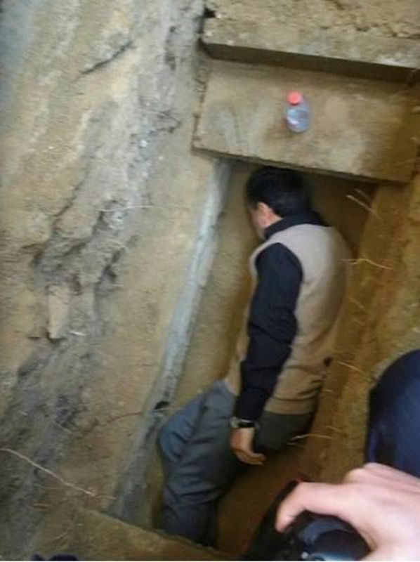 Ahmedinecad, ölen annesinin mezarına girdi