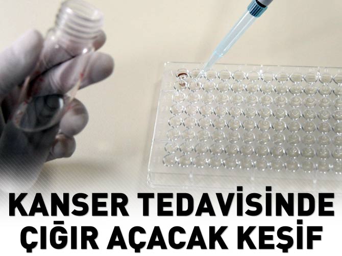 Kanser tedavisinde çığır açacak keşif