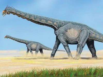 Dinozorların kafası güzelmiş!