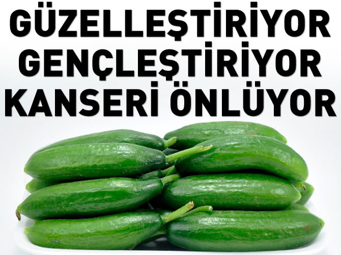 Yüksek tansiyon kalkanı salatalık