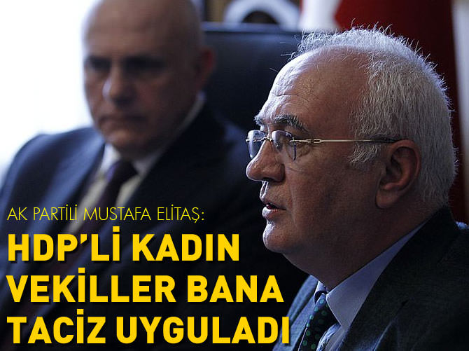 Elitaş: HDP'li kadın vekiller bana taciz uyguladı