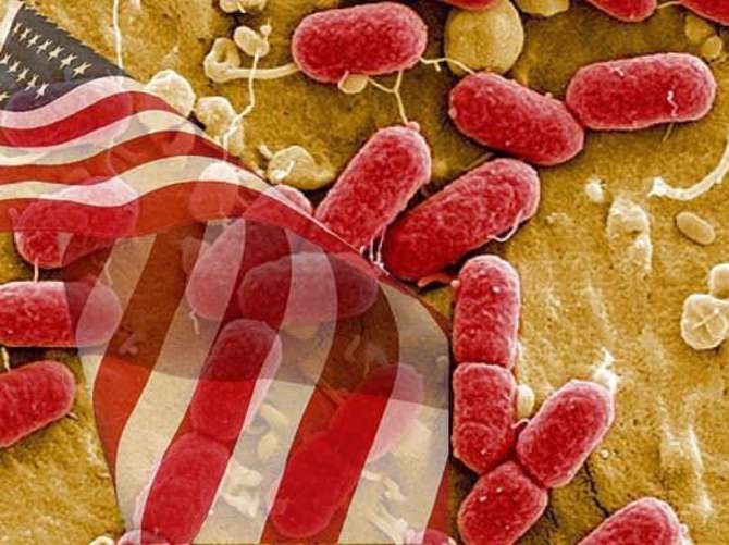 ABD'de antibiyotiklere dirençli bakteri can aldı