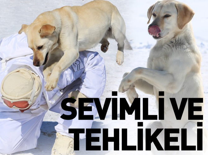 Kış Tatbikatı nefes kesti