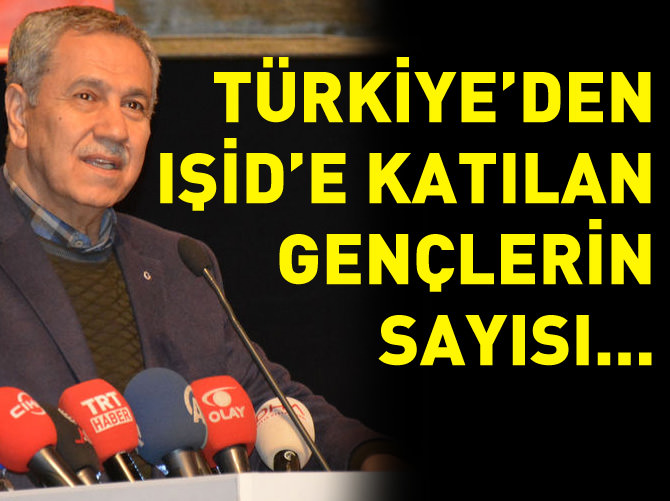 Arınç: Türkiye'den IŞİD'e katılan gençlerin sayısı...