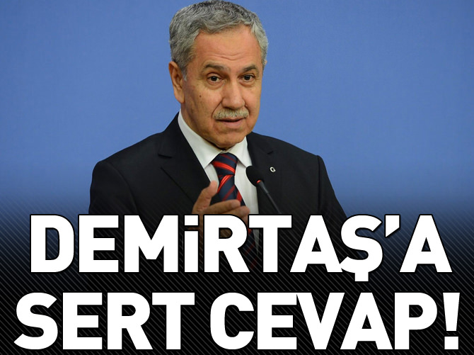 Bülent Arınç'tan önemli açıklamalar