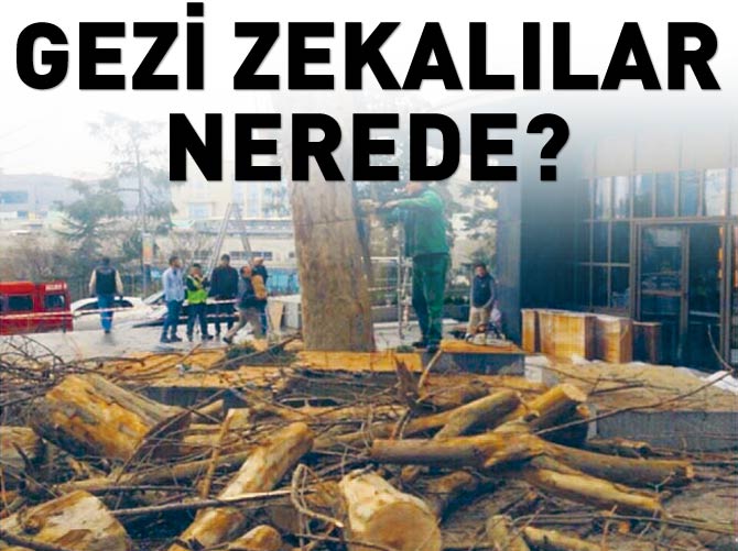 Gezi zekalılar nerede?