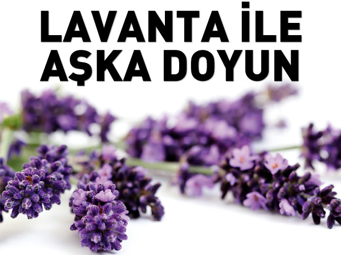Lavanta ile aşka doyun