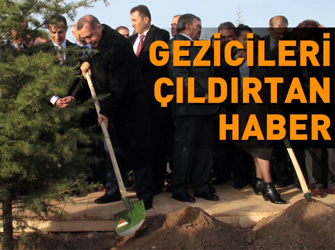 Gezicileri çıldırtan haber!