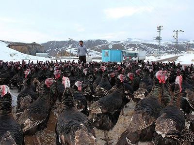 Çözüm süreci yatırımın önünü açtı