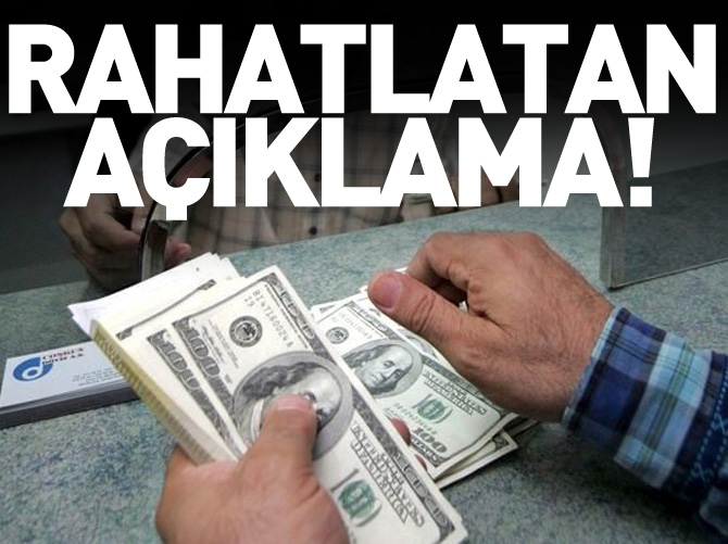 'Dolardaki yükseliş ekonomi için kalıcı bir tehdit değil'