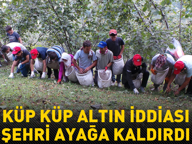 Ordu'da 2 küp altın heyecanı