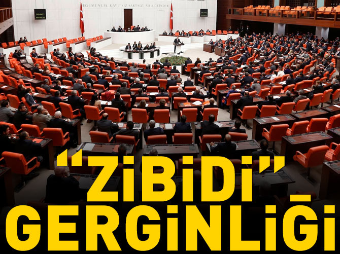 Meclis'te "zibidi" gerginliği