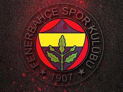 Fenerbahçe'de sakatlık şoku!