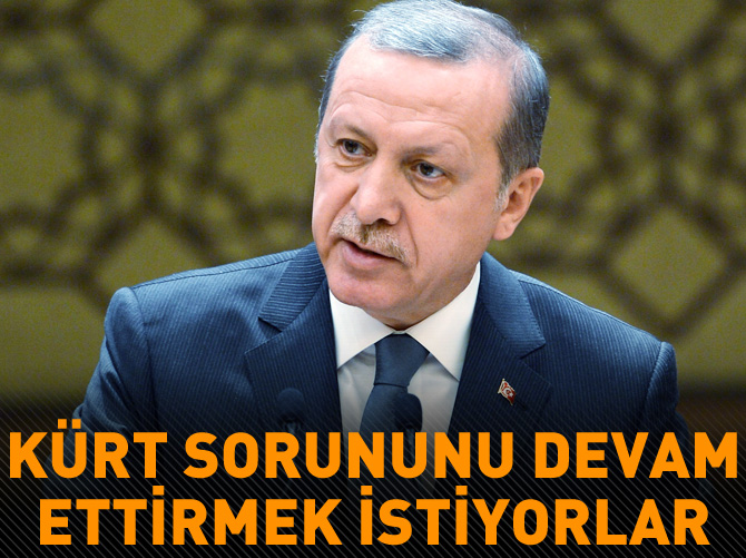'Etnik unsurların hepsinin kendine has sorunu var'