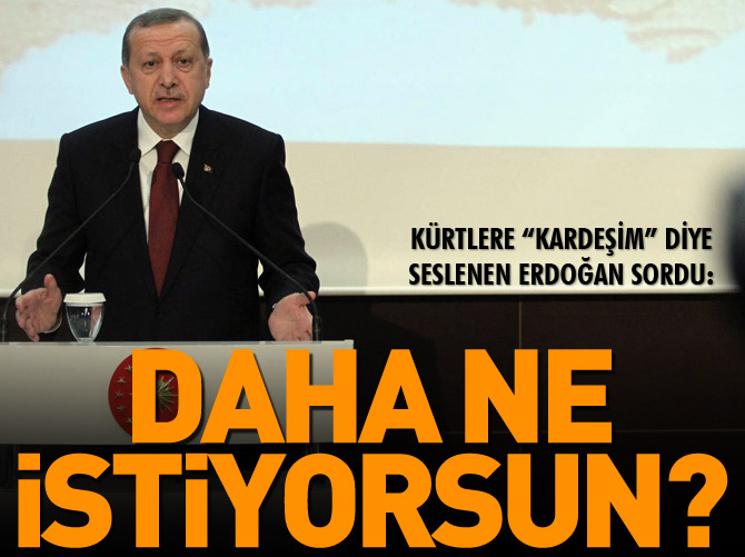 Erdoğan'dan Kürtlere: Daha ne istiyorsun?