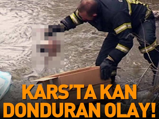 Kars Çayı'nda bebek cesedi bulundu