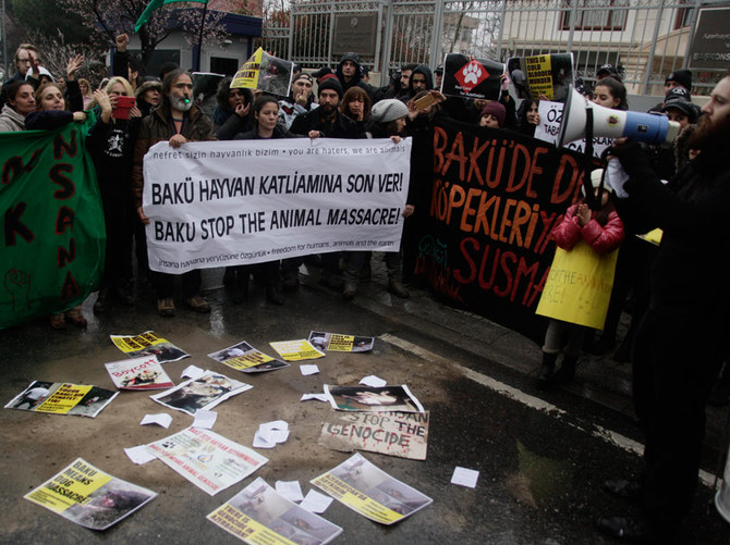 Azerbaycan'daki köpek katliamı protesto edildi