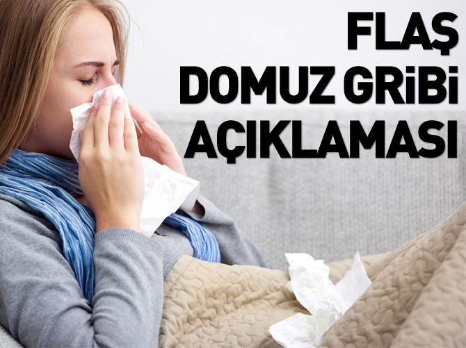 'Grip salgını söz konusu değil'