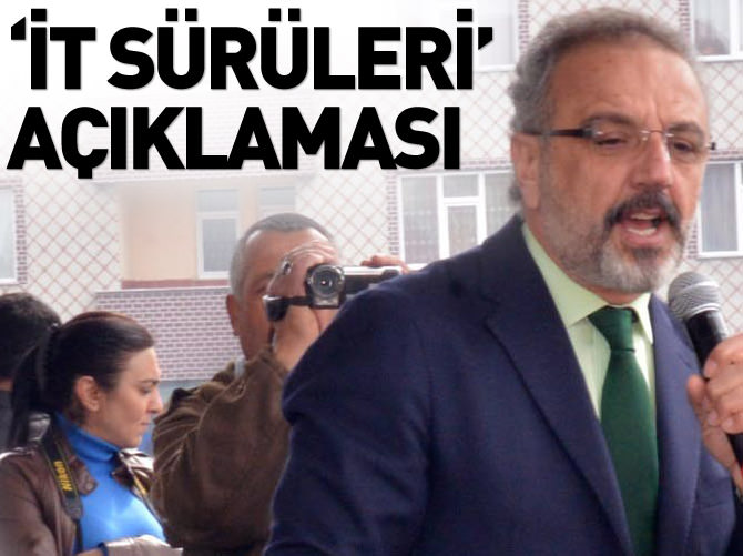 Sırrı Sakık'dan 'it sürüleri' açıklaması