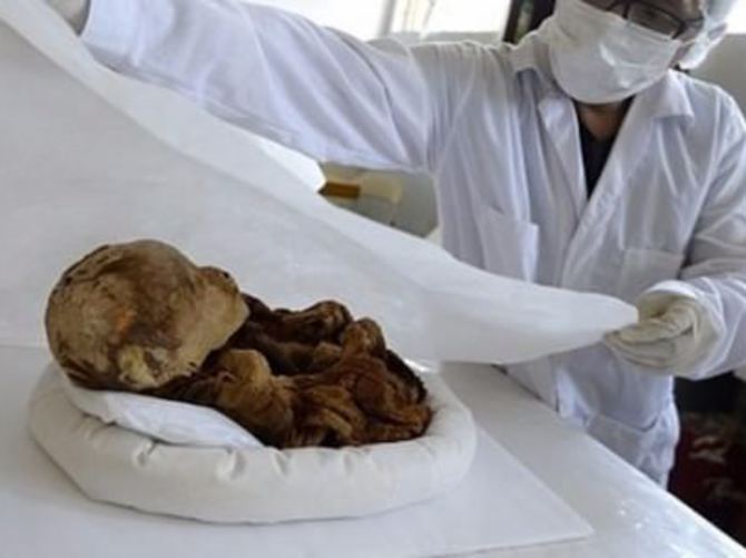 Bin yıllık bebek bilim adamlarını da şok etti
