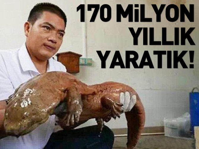 170 milyon yıldır yaşamayan yaratık Çin'de ortaya çıktı