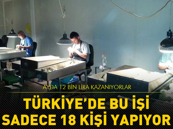 Türkiye'de bu işi sadece 18 kişi yapıyor