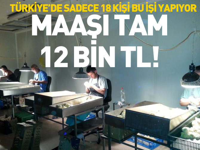 Türkiye'de bu işi sadece 18 kişi yapıyor