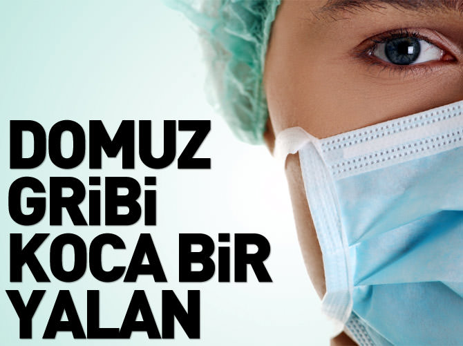 Prof. Dr. Recep Akdur: Domuz gribi koca bir yalan