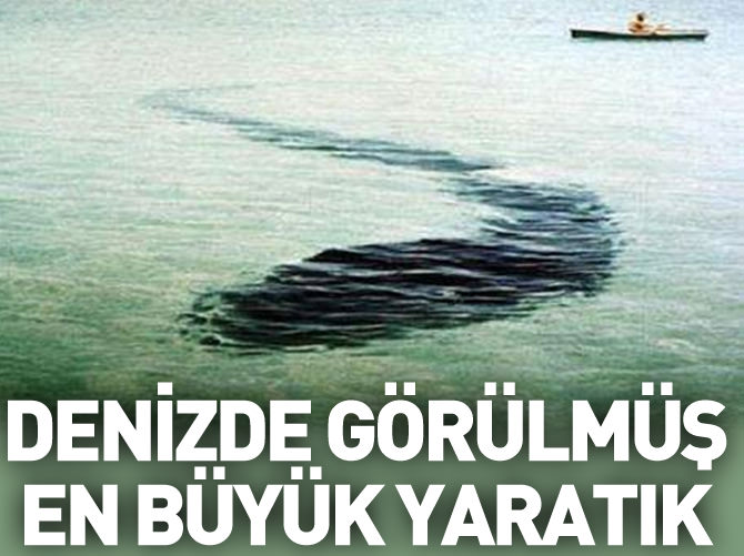 Şaşırtan fotoğraflar